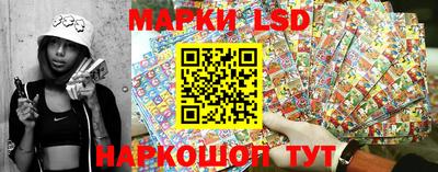амф Заволжье