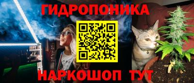 амф Заволжье