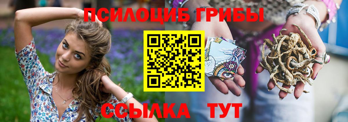 Костомукша  как найти   Вход с VPN  Псилоцибиновые грибы мухоморы  Галлюциногенные грибы Psilocybine cubensis 